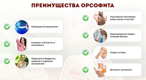 Орсофит таблетки как принимать