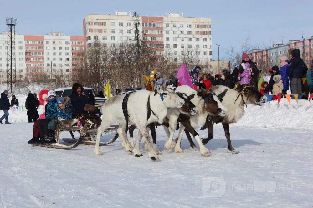 Праздник народов севера новый Уренгой 2022. Праздник севера в новом Уренгое. Новый Уренгой зимой. Новый Уренгой жители фото.