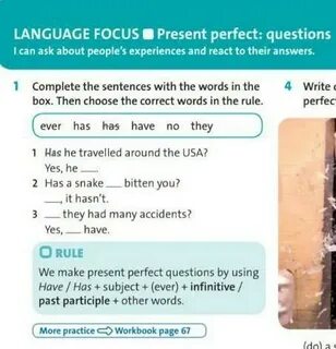 Complete the sentences choose from the box