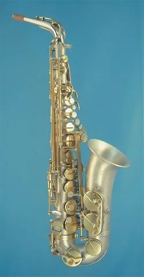 Саксофон 2000. Yamaha 62 альт саксофон. Саксофон духовой музыкальный инструмент. Саксофон. Батырхан шукенов - певица и саксофон.