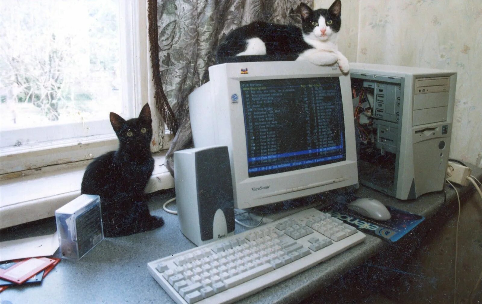 Перегревается монитор. Кот на плоском мониторе. котики 2000. интернет в начале 2000-х. кот лежит на элт мониторе.