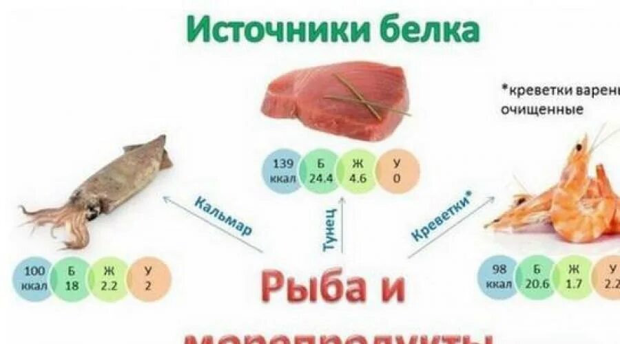 Белки сколько ножек. Креветки белок. Источники белка. Количество белка в креветках. Рыба источник белка.