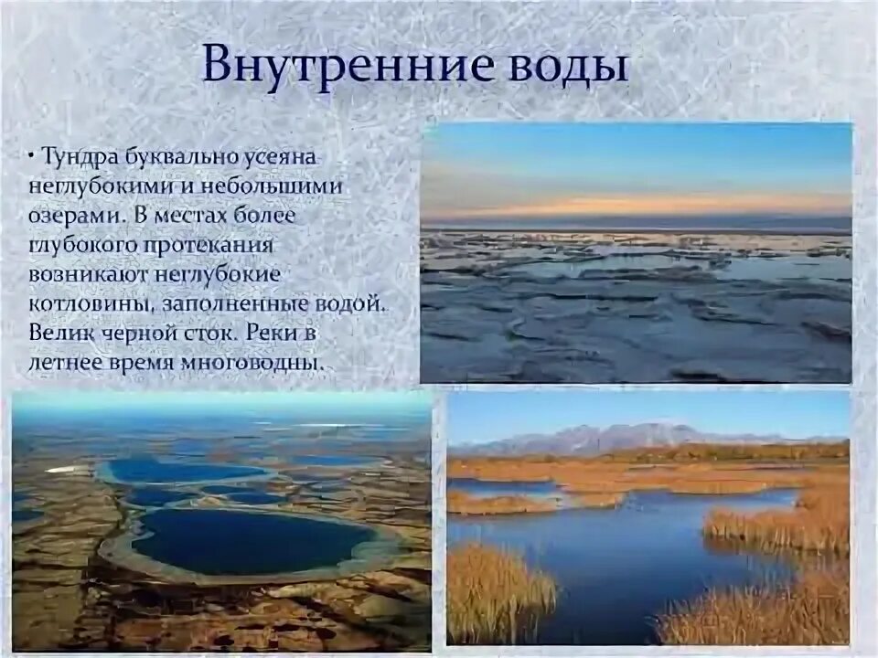 Воды тундры в россии. Воды тундры. Внутренние воды тундры в России. Климат тундры. Зона тундры внутренние воды.