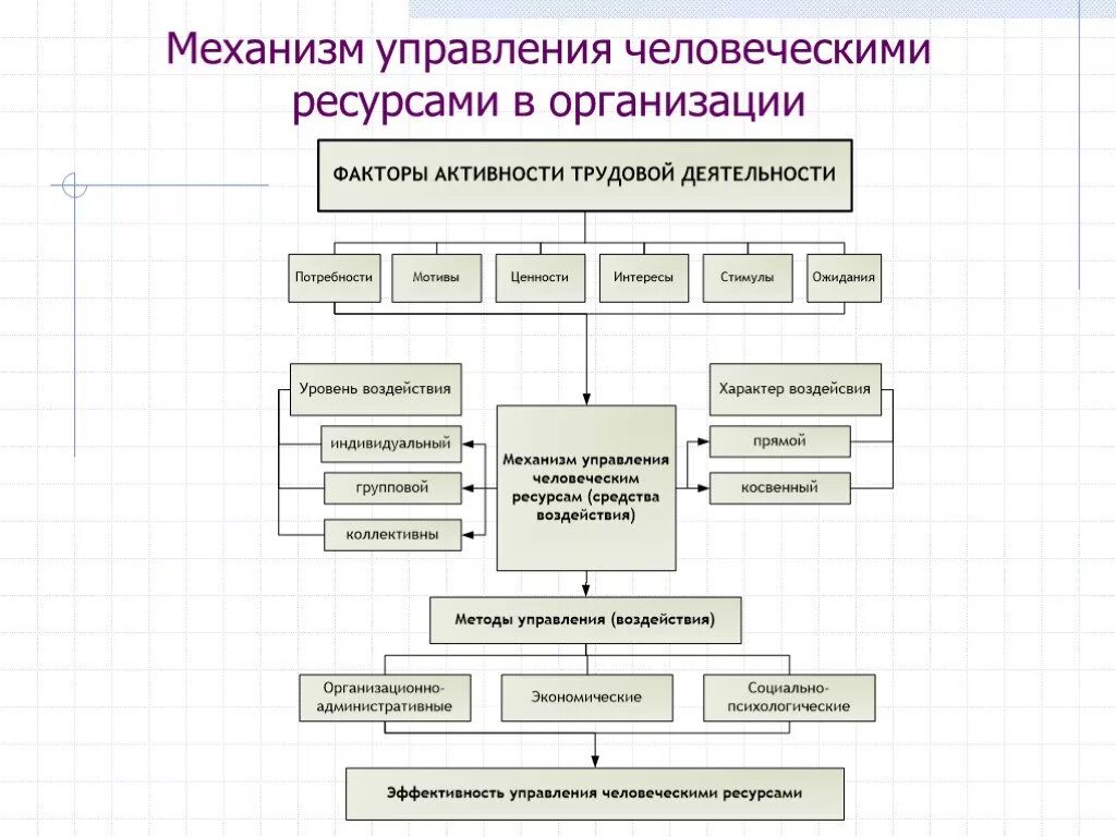 Эффективность управление человеческими ресурсами. Система управления человеческими ресурсами схема. Структура управления человеческими ресурсами в организациях. Управление человеческими ресурсами в организации. Структура системы управления человеческими ресурсами.