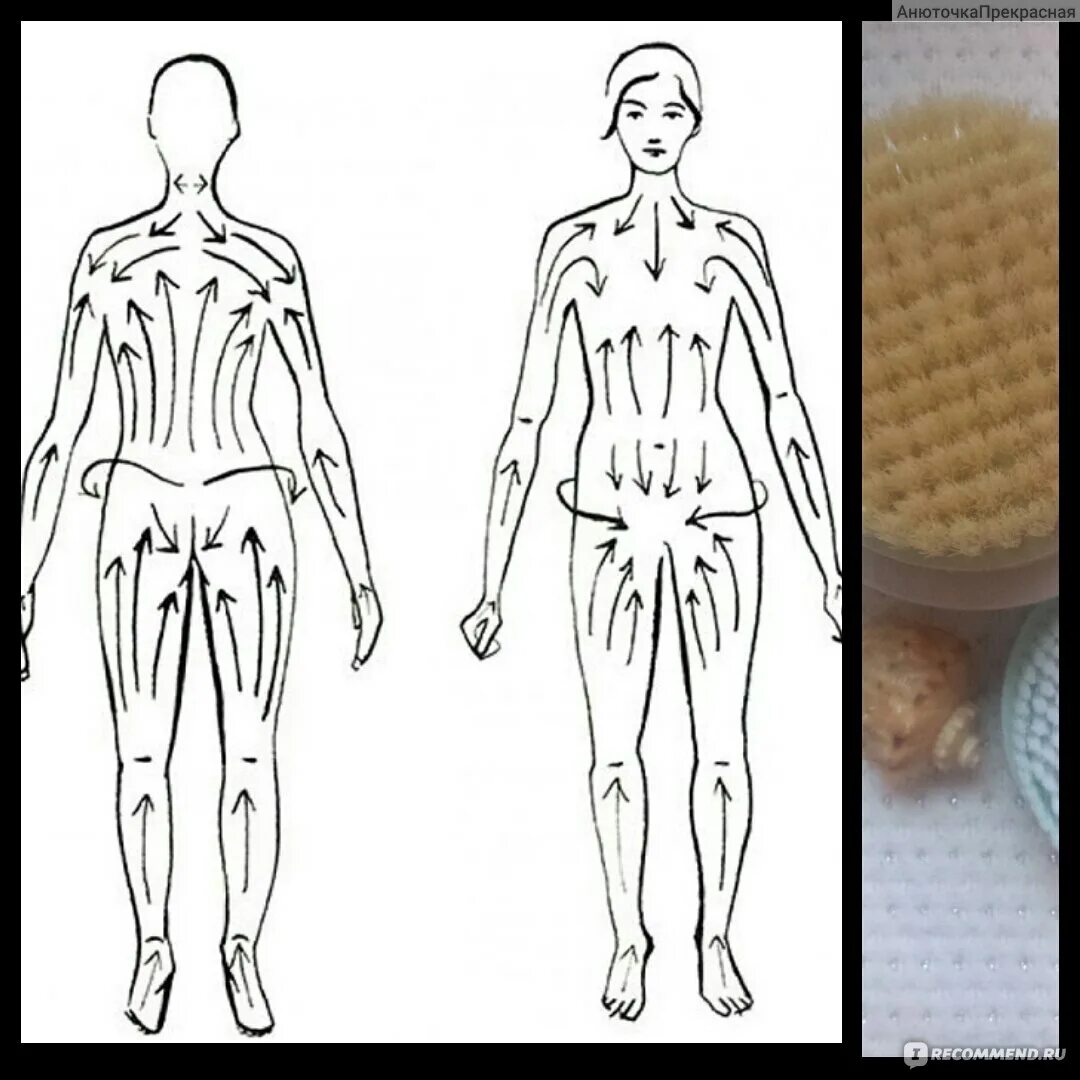 Сухой массаж щеткой техника для похудения схема. Лимфомассаж тела сухой щеткой. Массаж сухой щеткой для лимфы схема. Лимфодренажный массаж сухой щеткой схема. Лимфодренажный массаж щеткой