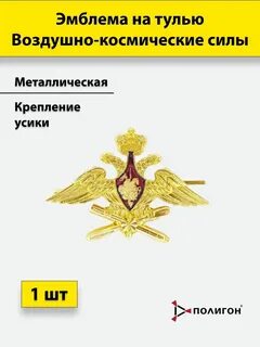 Воздушно космические силы эмблема