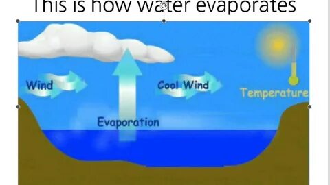 Water turns into
