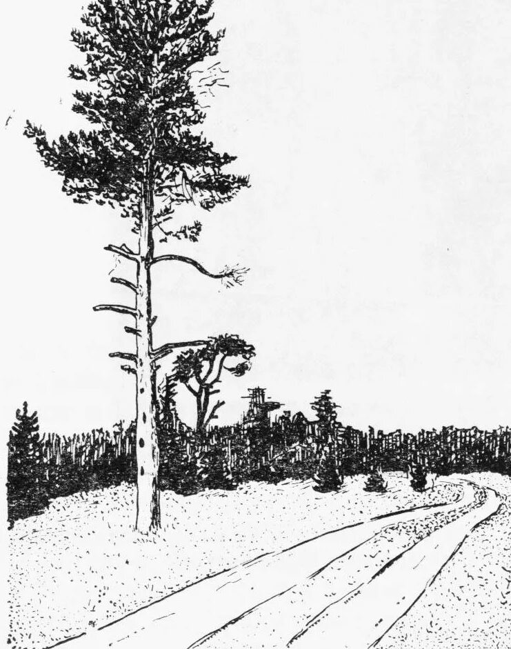 Карсико