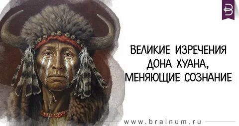 Индейцы яки кастанеда