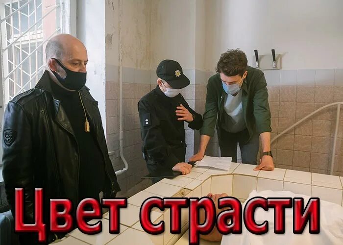 Цвет страсти содержание. Цвет страсти сериал 2025 украина. гомонай сериал про дашу. цвет страсти 2025. цвет страсти актеры 2025.
