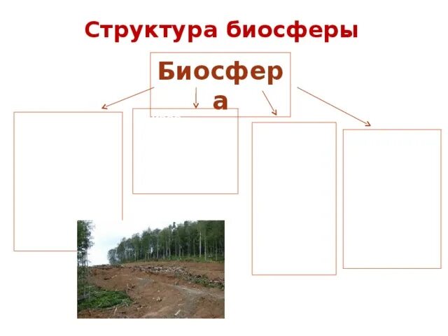 Структурным компонентом биосферы является. Вещества биосферы таблица. структура биосферы. состав биосферы. вещества структуры биосферы.