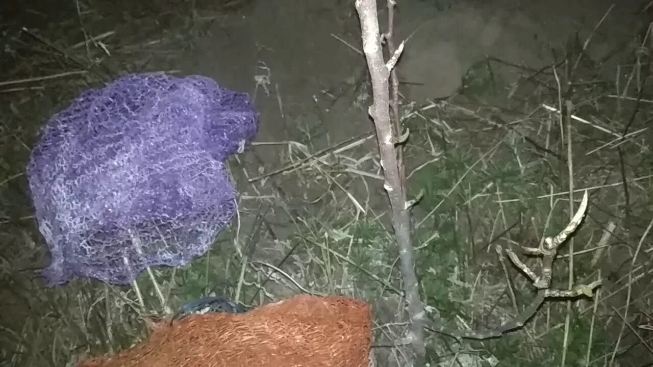 Как защитить видео
