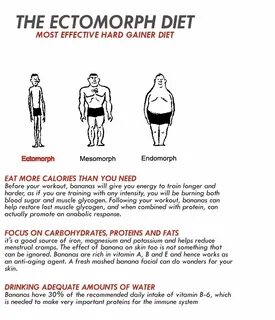 Эндоморф как похудеть