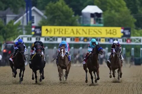 Live horse racing