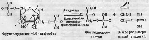 Простой фосфат