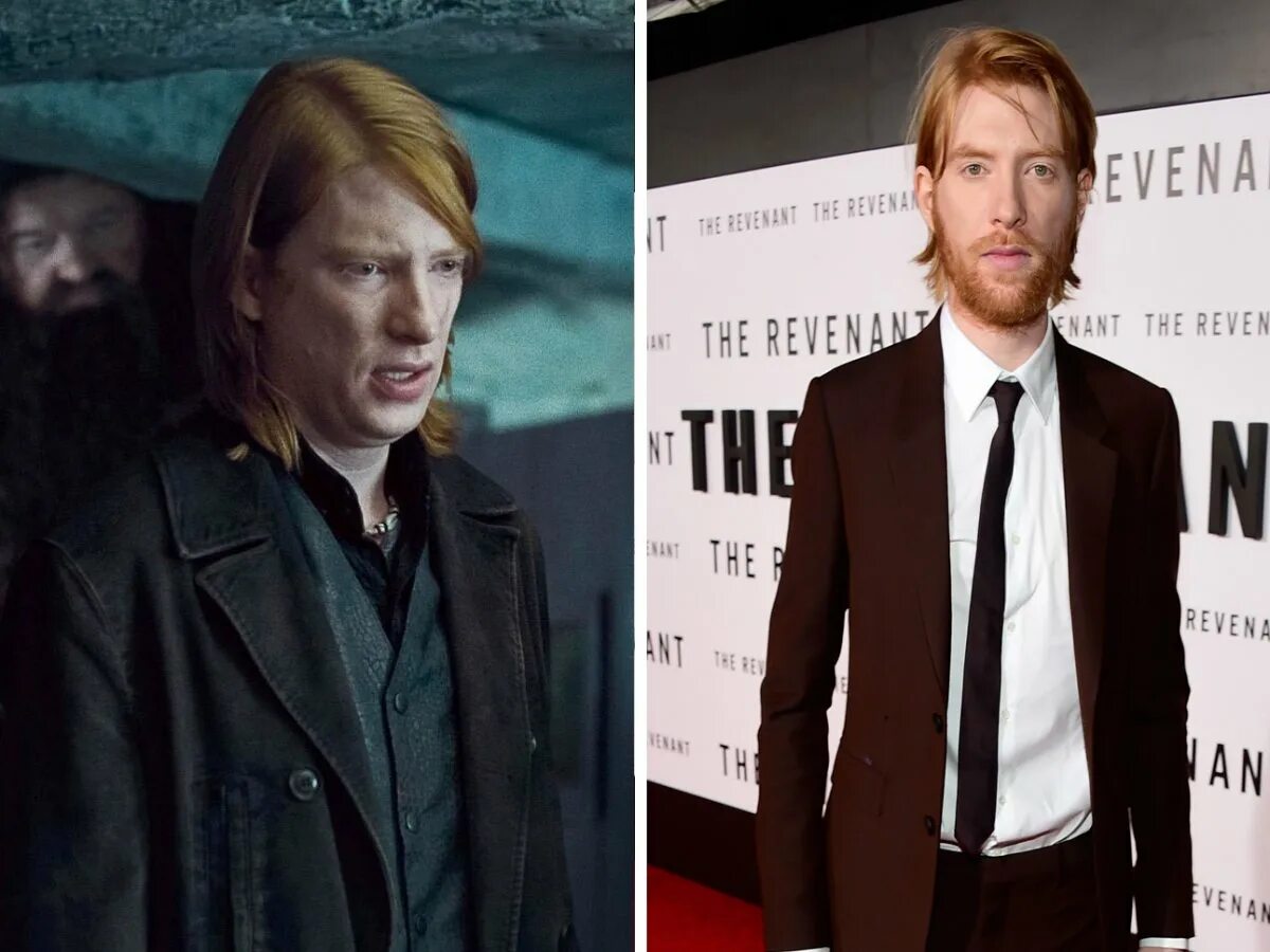 Гарри поттер билл уизли актер. Гарри поттер било увизли. Братья рона уизли. Донал глисон гарри поттер. Старший брат рона.