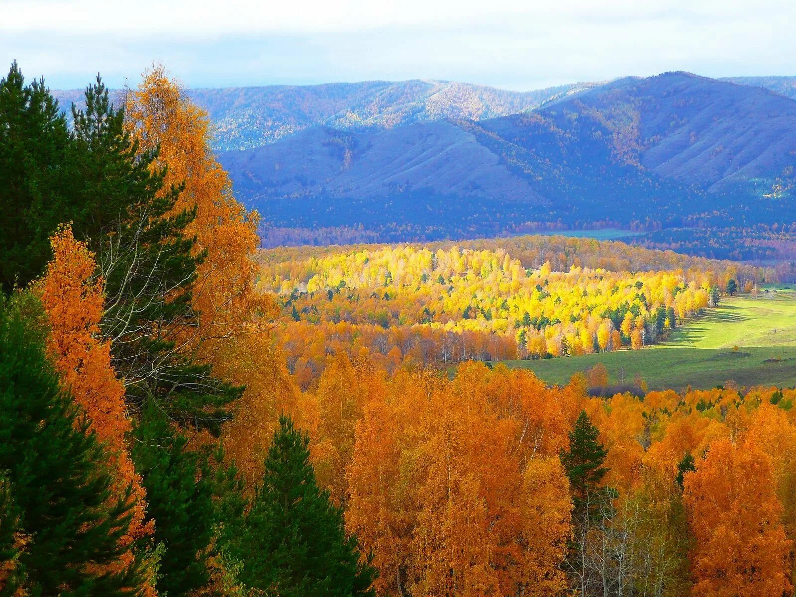 Леса белорецка. Леса белорецка. Белорецк леса. Леса белорецка. Леса белорецка.
