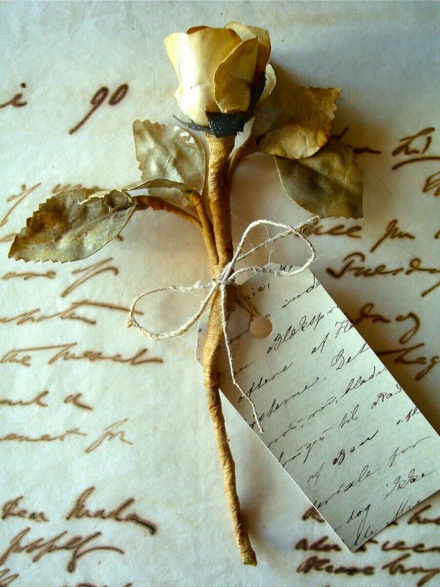 Самое нежное письмо. Красивое письмо. Старинное письмо. Старинное Любовное письмо. Красивые послания.