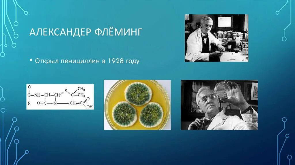 День пенициллина. Антибиотики пенициллин Флеминг. Флеминг пенициллин 1928. Пенициллин (Penicillium).