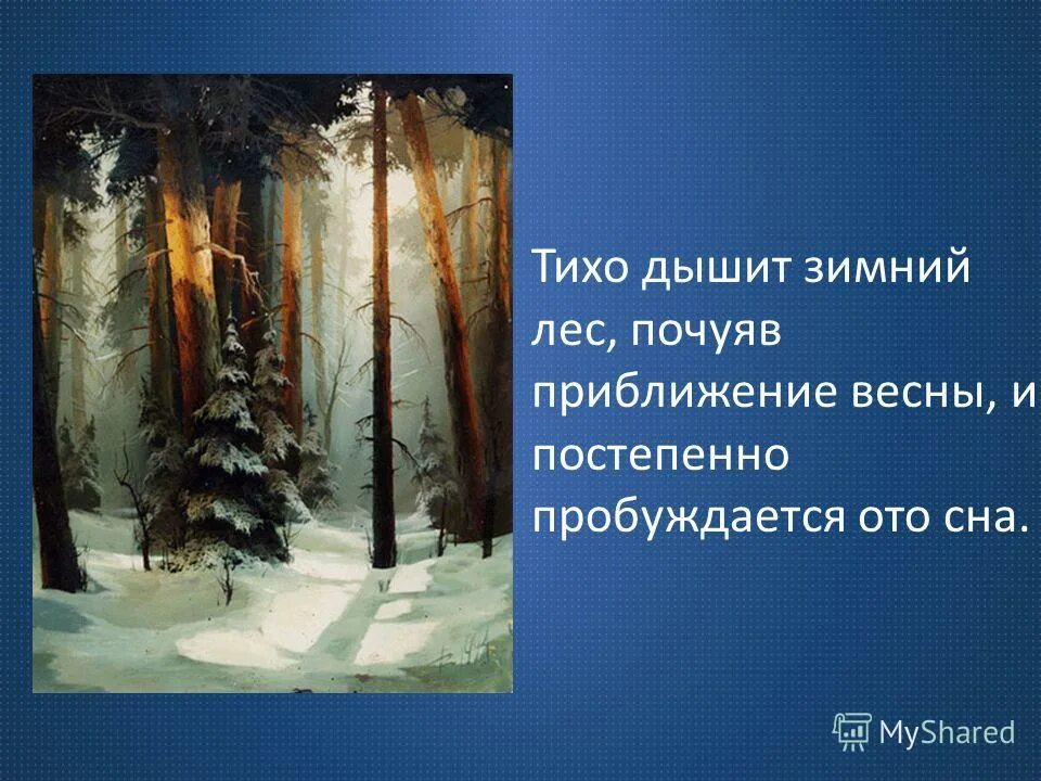 ты откуда речка из страны дождей. тихие леса предложения. предзакатный лес. путешественница осень в лесу тихо журчал. тихие леса.