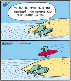 Даже не договорила