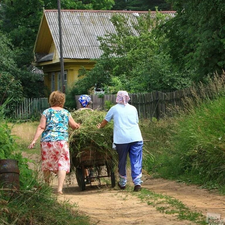 Новая жизнь в деревне последнее. Будни в деревне. деревенские жители летом. жизнь в деревне. люди в деревне летом.