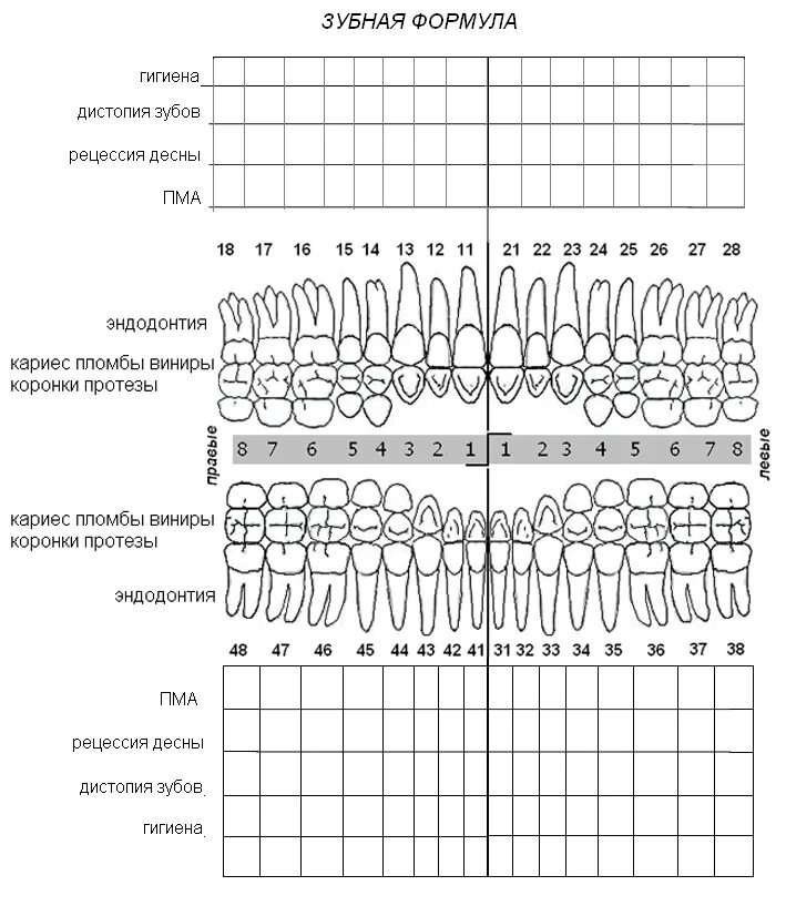 Форма стоматологической карты. Зубная формула в стоматологической карте. Карта стоматологического больного зубная формула. Зубная формула постоянных зубов человека. Пародонтологическая карта стоматологического больного заполнение.