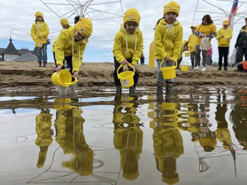 Водорослям крышка