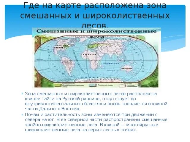 Какая зона располагается в самой северной части. Где находятся смешанные и широколиственные леса на карте. Зона широколиственных лесов на карте. Широколиственные географическое положение. Где находится зона смешанных и широколиственных лесов на карте.