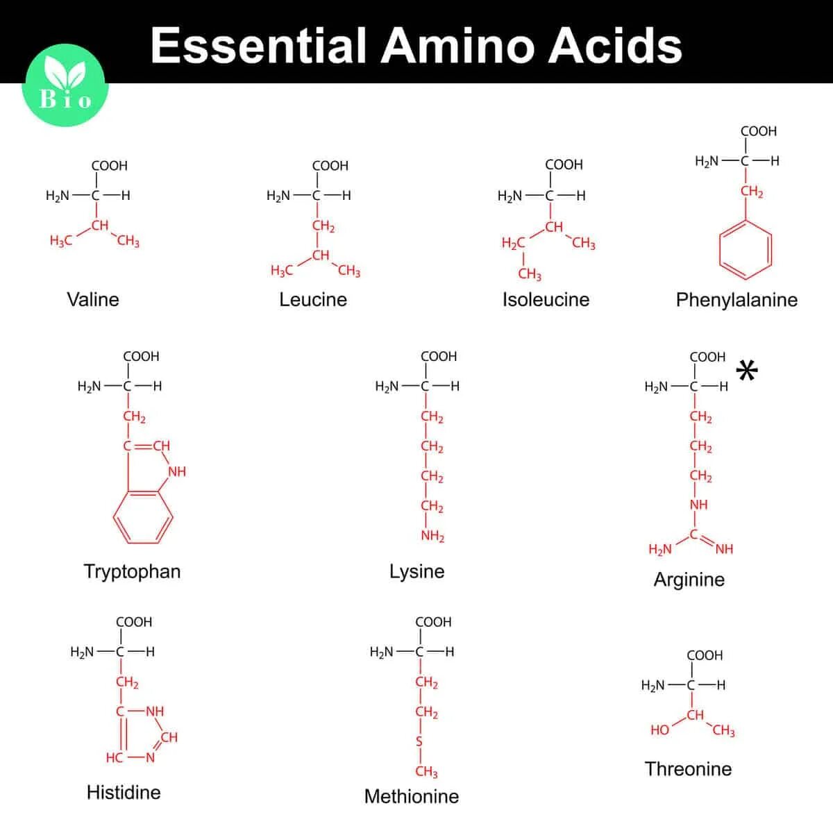 Acid type. Quantum amino acids essential аминокислоты 180 табл.. нестандартные аминокислоты. незаменимые аминокислоты формулы. изолейцин аминокислота.