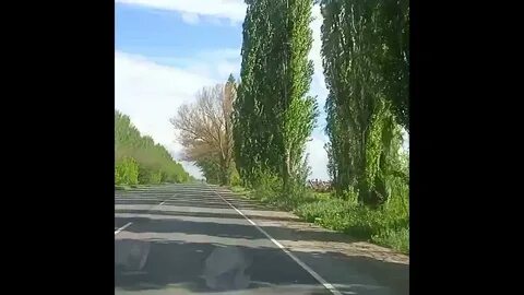 Дорога через джанкой
