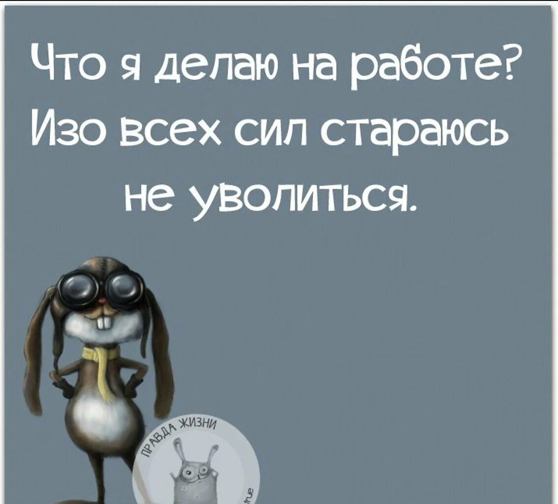 Я весел я спокоен. Статусы про работу. Смешные высказывания про работу. Статусы про работу прикольные. Цитаты про работу.