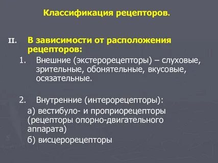 Внешние рецепторы