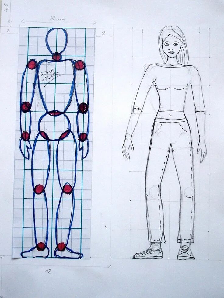 Люди изо. Пропорции человека. Фигура человека для рисования. Пропорции человека для рисования. Человеческие фигуры для рисования.