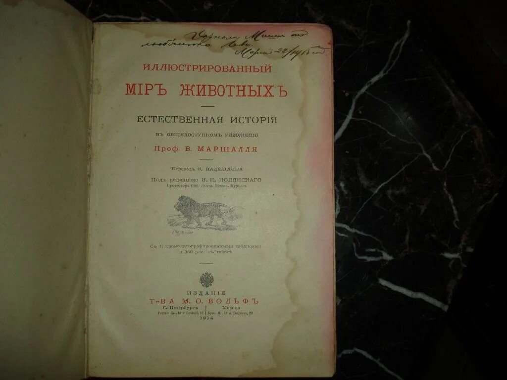 Естественная история. Плиния старшего «естественная история» в 37 книгах. Естественная история читать. Плиний старший. Книги i-ii.