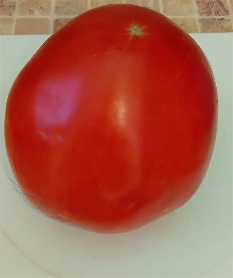 Томат сердце пармы. Томат сердце пармы. Семена помидоров бычье сердце. Томат сердце пармы. Томат зимнее сердце.