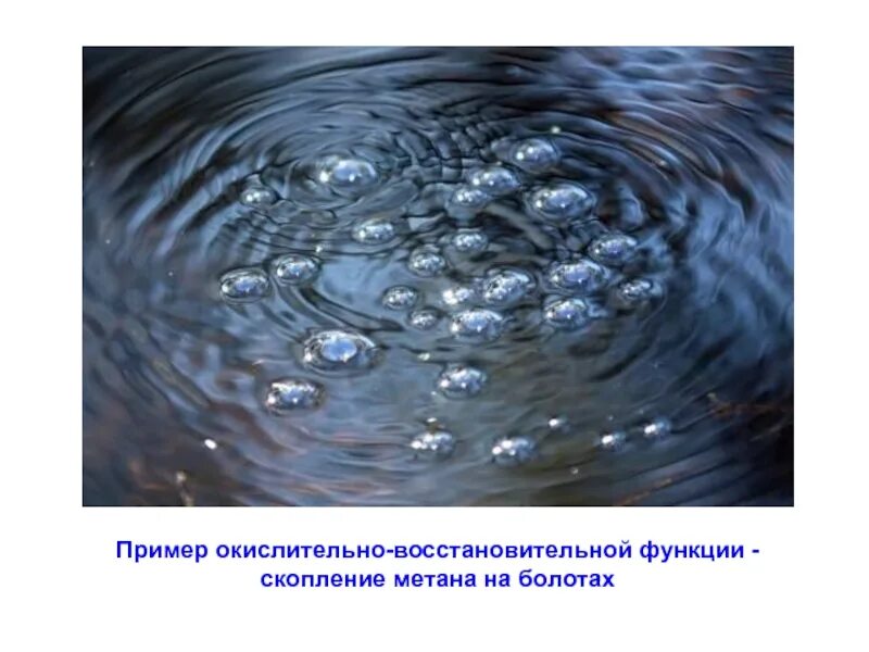 Отношение метана к воде. Болота метан. Метан болотный ГАЗ. Метан на болоте. Скопление метана на болотах.