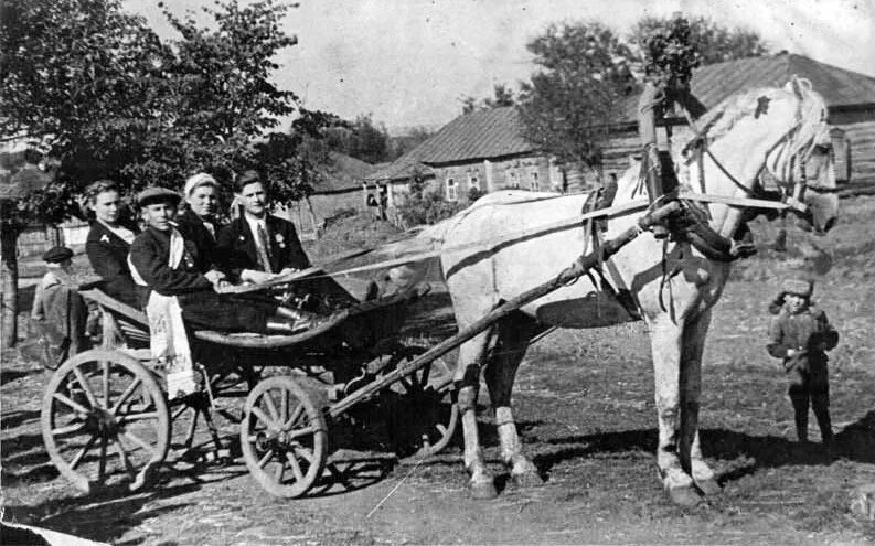 Гужевой скот селян. Бричка 1890. Старинный транспорт. Старая повозка с лошадьми. Телега с лошадью.