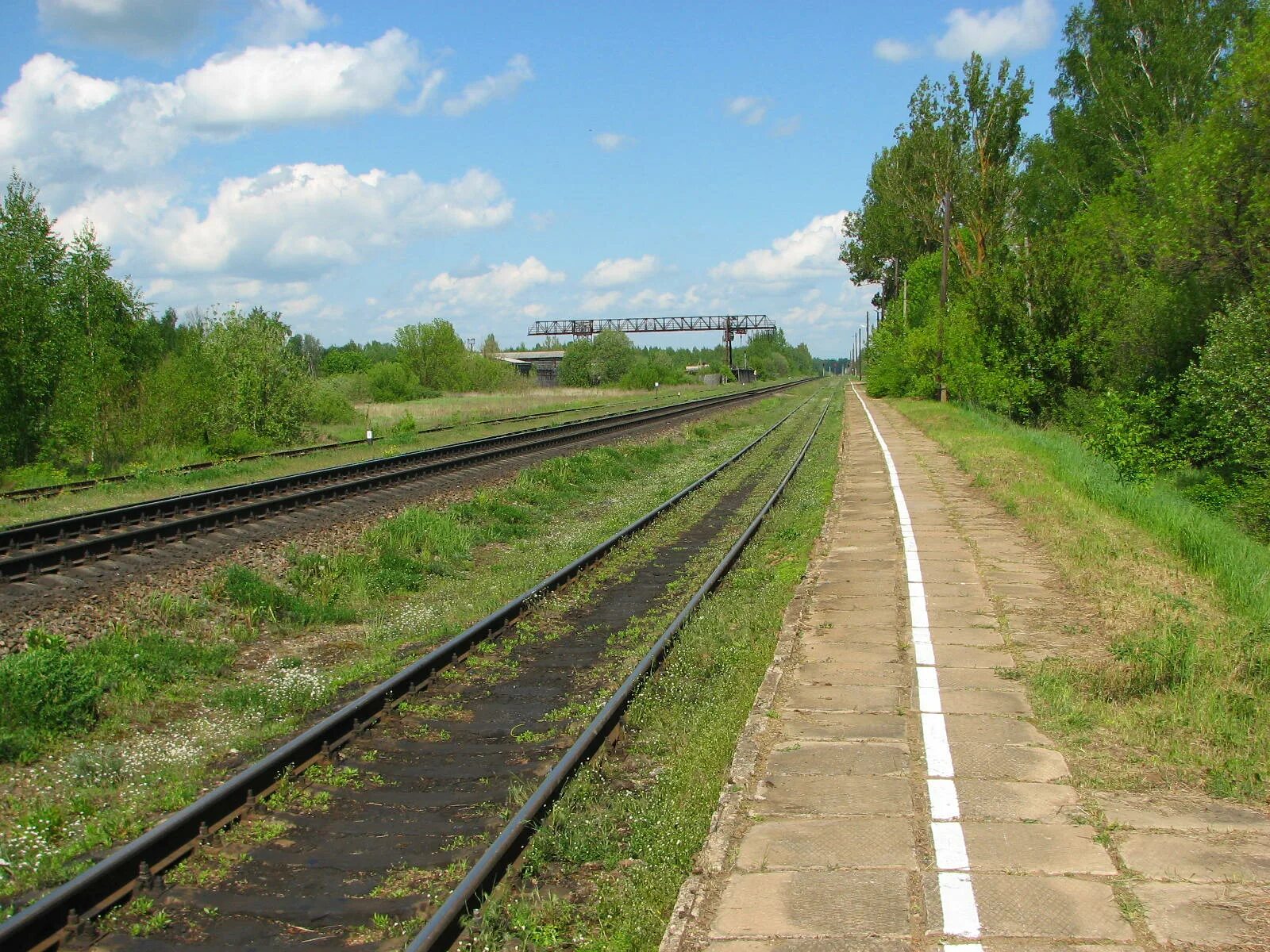 10 разъезд. 2тэ116 крымская железная дорога. 2тэ116 1500 кжд. Апшеронская узкоколейная железная дорога. 107 км станция крым.