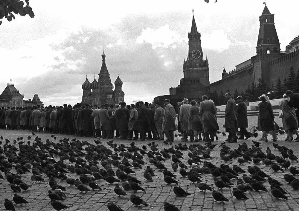 Красная площадь 1960 е. Москва красная площадь 1960. Москва красная площадь 1960 год. Голуби на красной площади.