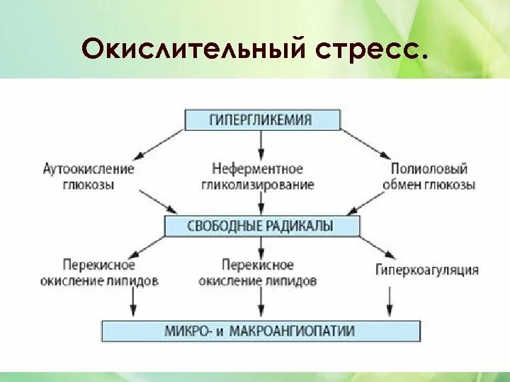 Окислительный стресс организма