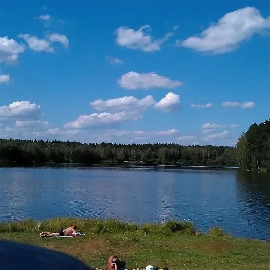 Луковое озеро беседки. Луковое озеро москва. База отдыха луковое озеро ногинск. Беседки на луковом озере ногинск. Луковое озеро ногинск.