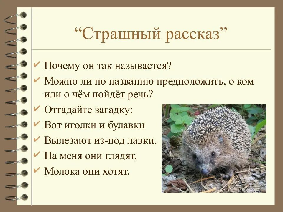 План рассказа е. Рассказ евгения чарушина про ежа. Страшный рассказ краткое содержание. Евгений чарушин — страшный рассказ: рассказ. Евгений чарушин страшный рассказ иллюстрации.