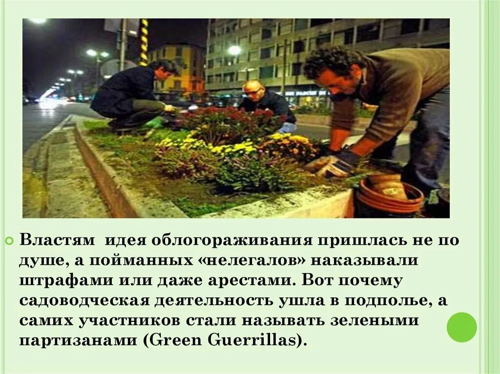 Международный день партизанского садоводства 1 мая. День партизанского садоводства 1 мая. Международный день партизанского садоводства 1 мая. Партизанское садоводство. Партизанское садоводство.