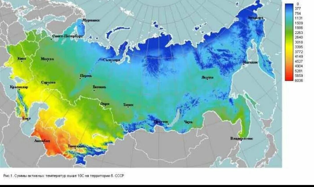 Самая холодная зона россии. Карта суммы активных температур России. Карта зон зимостойкости России. Климатическая зона России зимостойкости России. Сумма активныных температур.