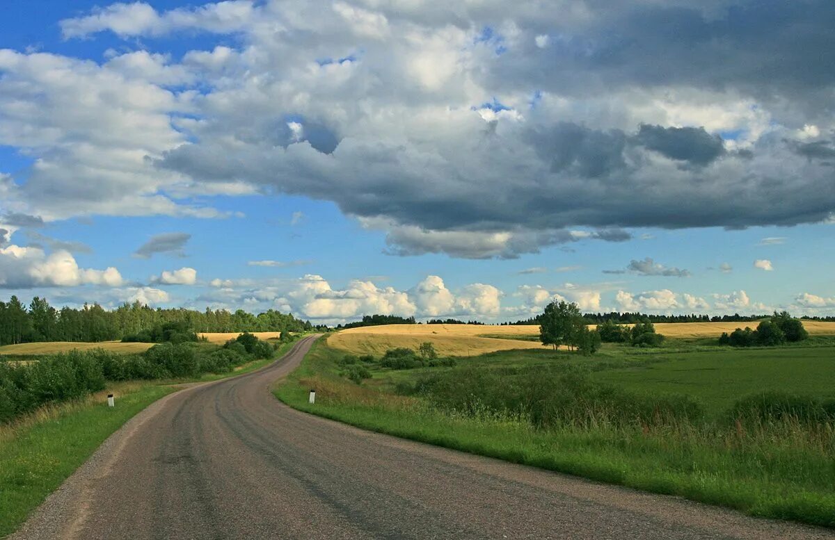 Сельская дорога. Деревенская дорога. Дорога в деревне. Проселочная дорога.