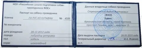 Документы проводника