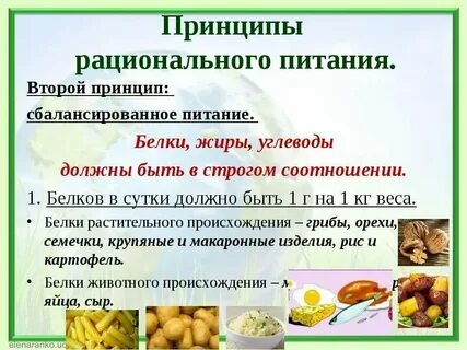 Блюда из белка и углеводов