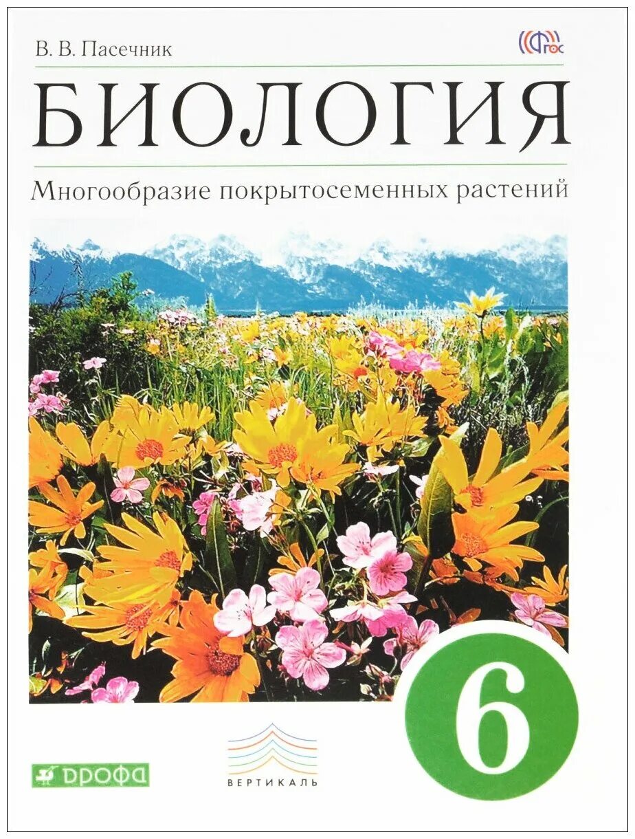 пасечник 6 класс многообразие покрытосеменных. пасечник 6 класс многообразие покрытосеменных. 6 класс пасечник в. рассмотрите покрытосеменное растение. пасечник 6 класс многообразие покрытосеменных.