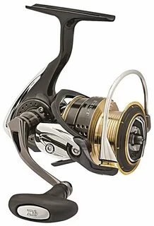 Daiwa exist